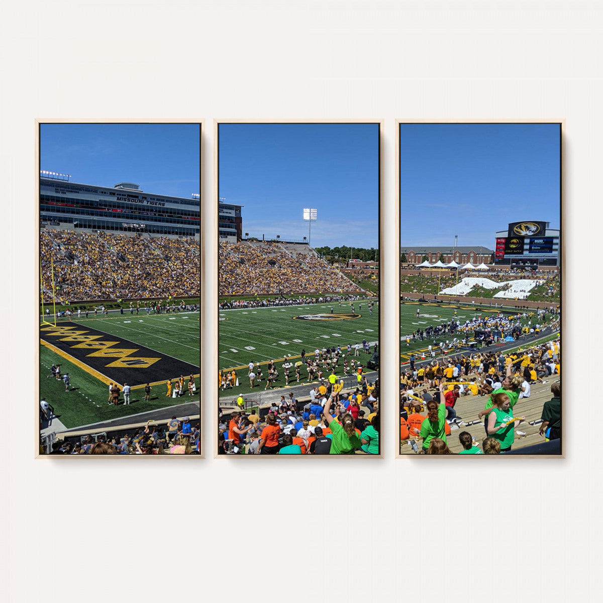 University of Missouri Tigers Football Team Print - Columbia