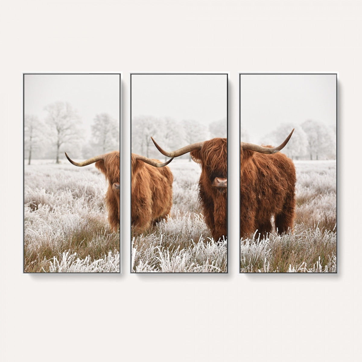 Longhorn Cattle Wall Art Canvas Print, Framed Farmhouse