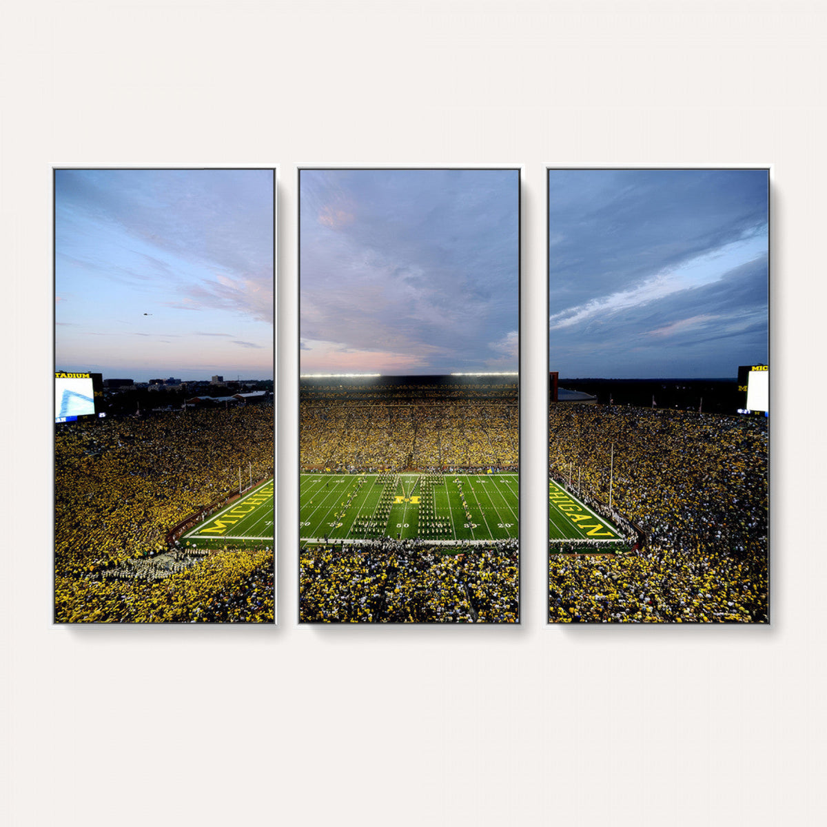 University of Michigan Wolverines Football Team Print - Ann