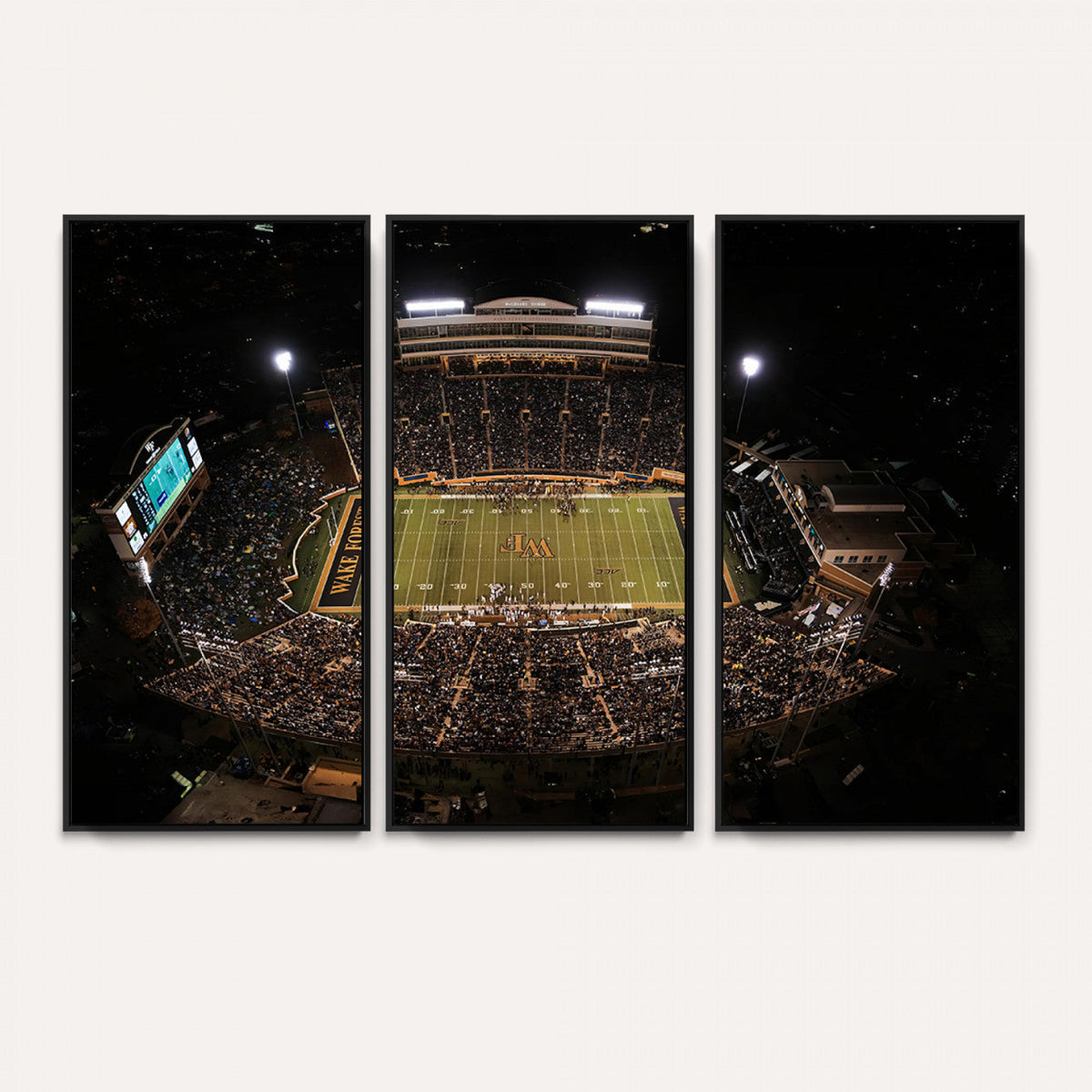 Wake Forest University Demon Deacons Canvas Printi, Football