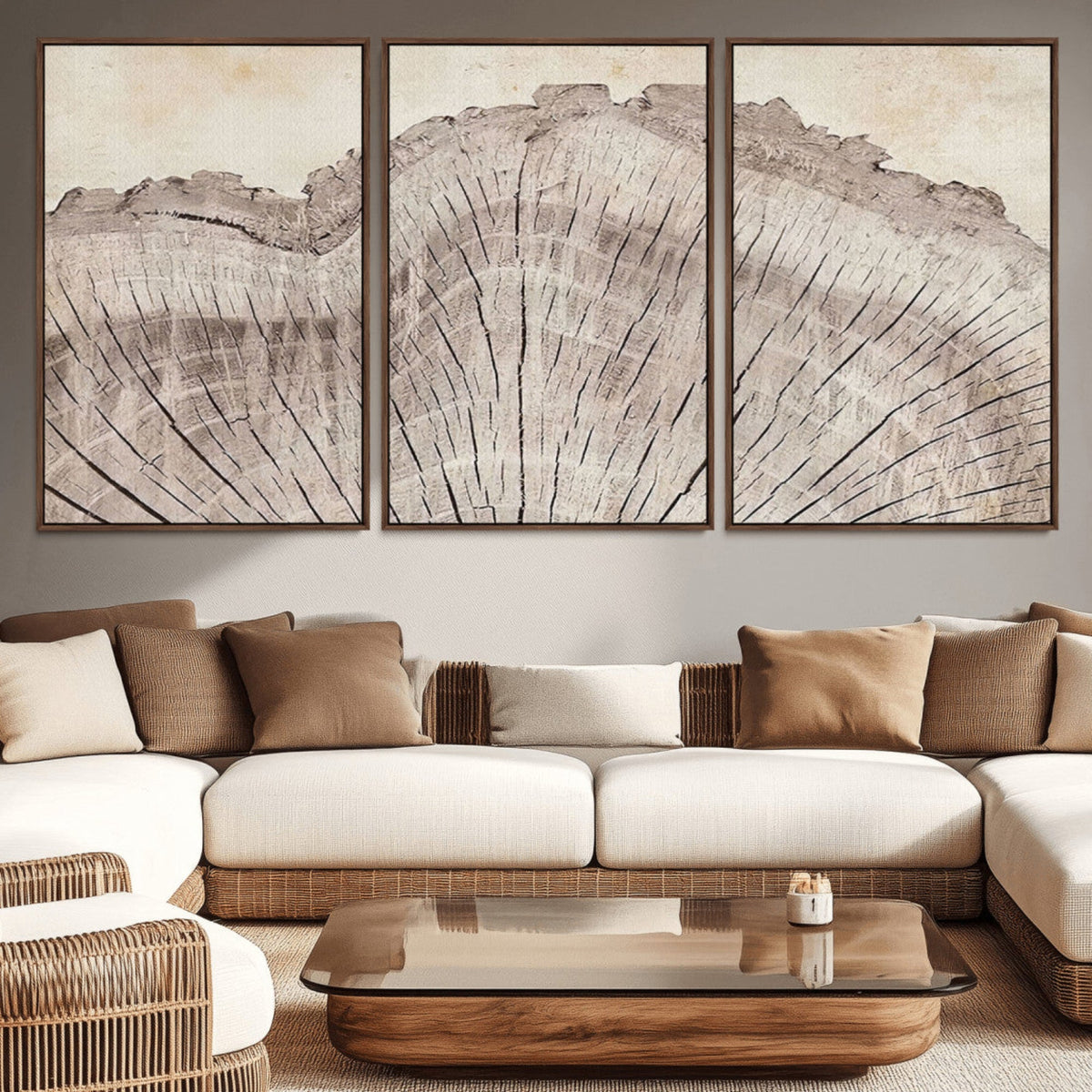 Tree Ring Wall Art Triptych, Rustic Wood Ring Canvas Print,