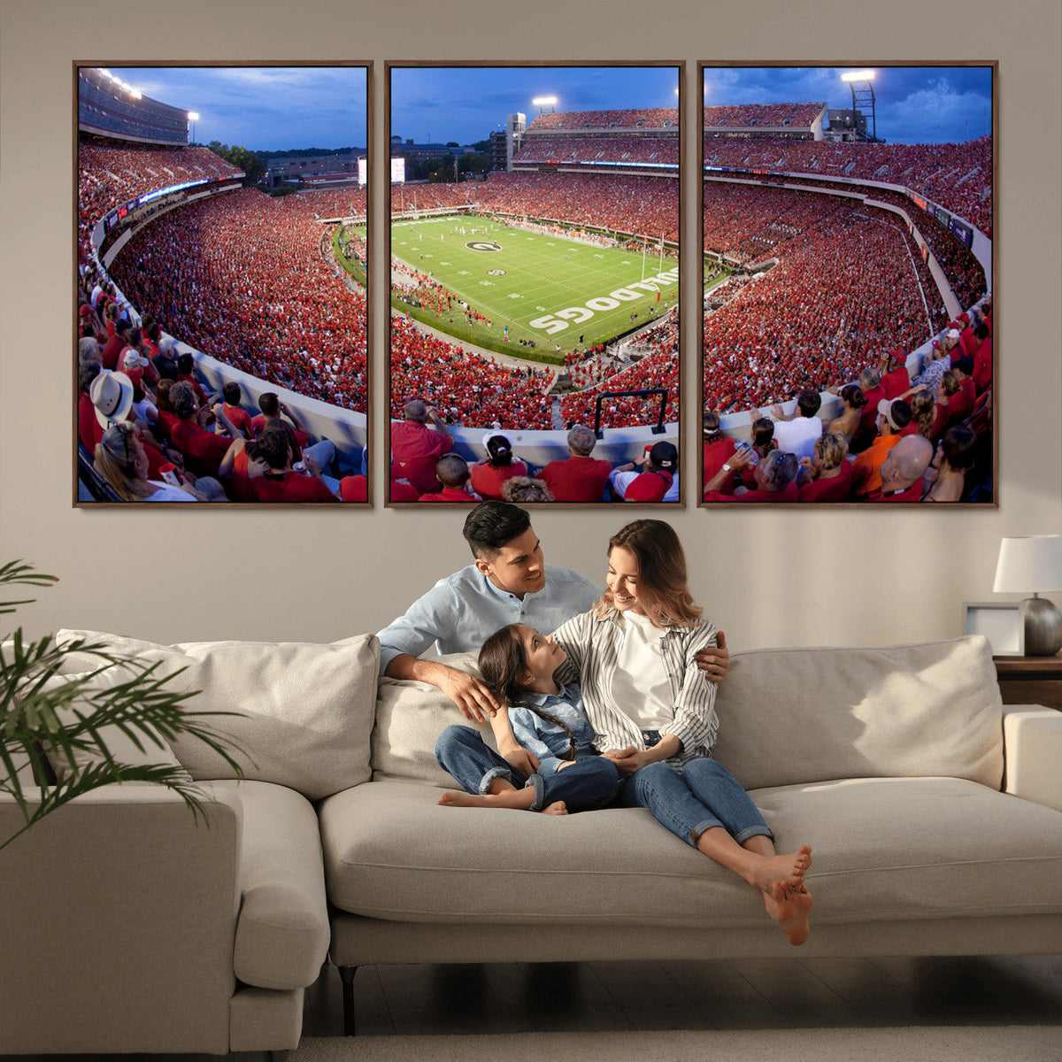 Dooley Stadium Wall Art, Sports Arena Canvas Print, Dooley