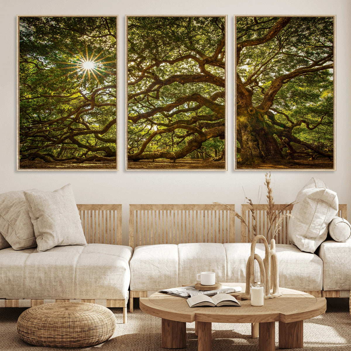 Ancient Angel Oak Tree Art Sunburst Canvas Print-