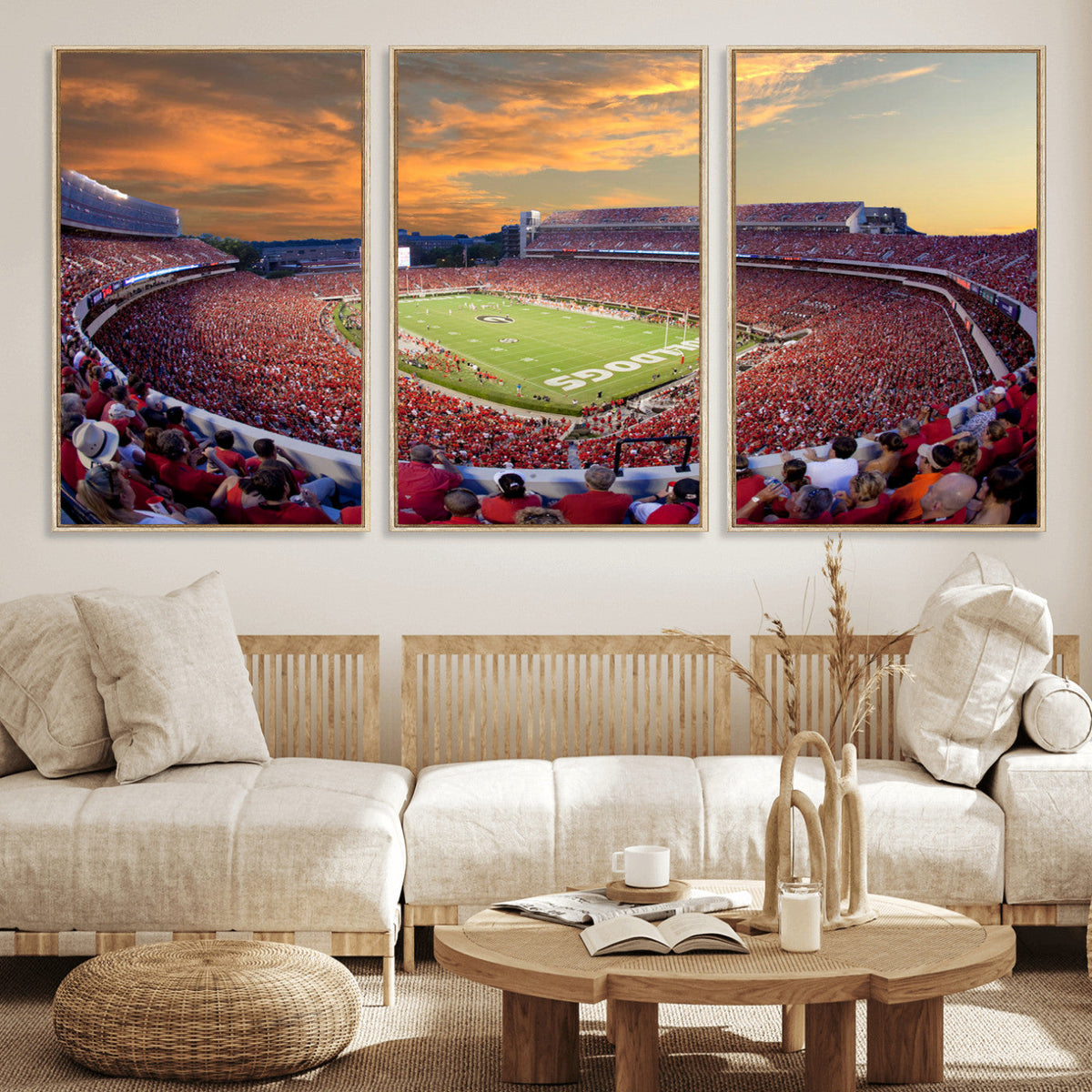 Dooley Stadium Wall Art, Sports Arena Canvas Print, Dooley