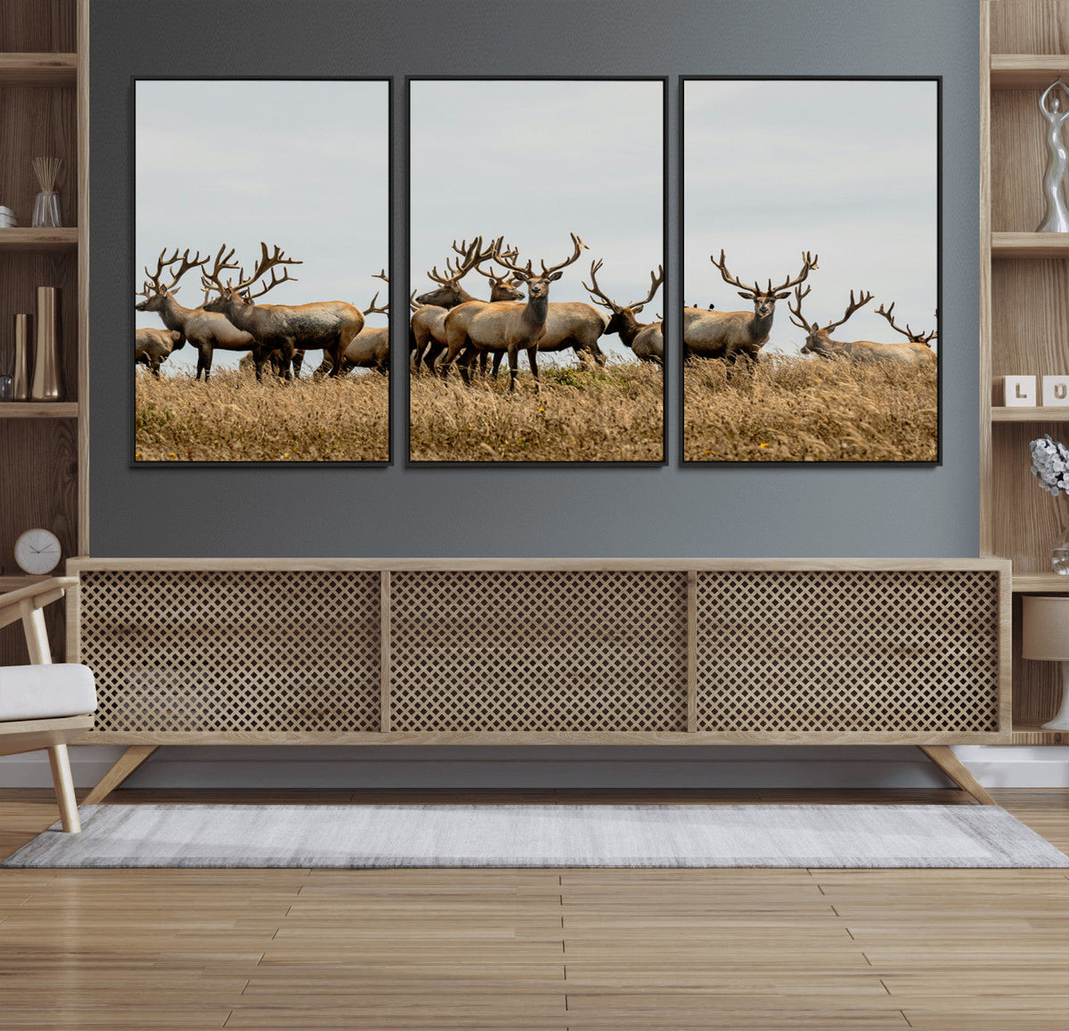 Elk Herd Wall Art Canvas Print – Framed Wildlife Photography