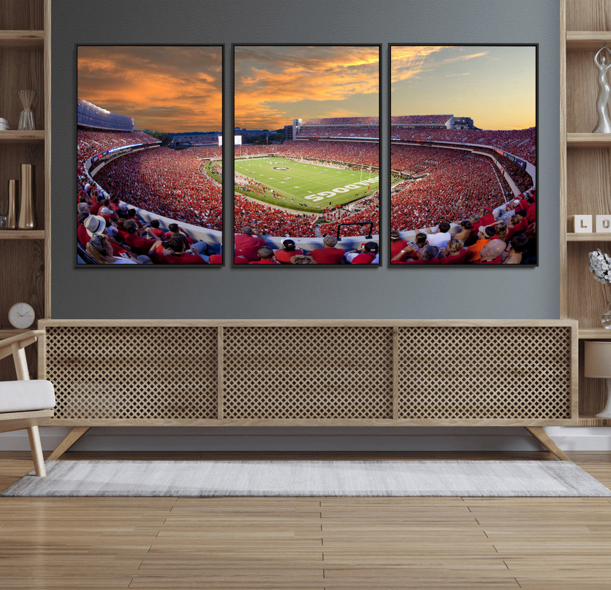 Dooley Stadium Wall Art, Sports Arena Canvas Print, Dooley