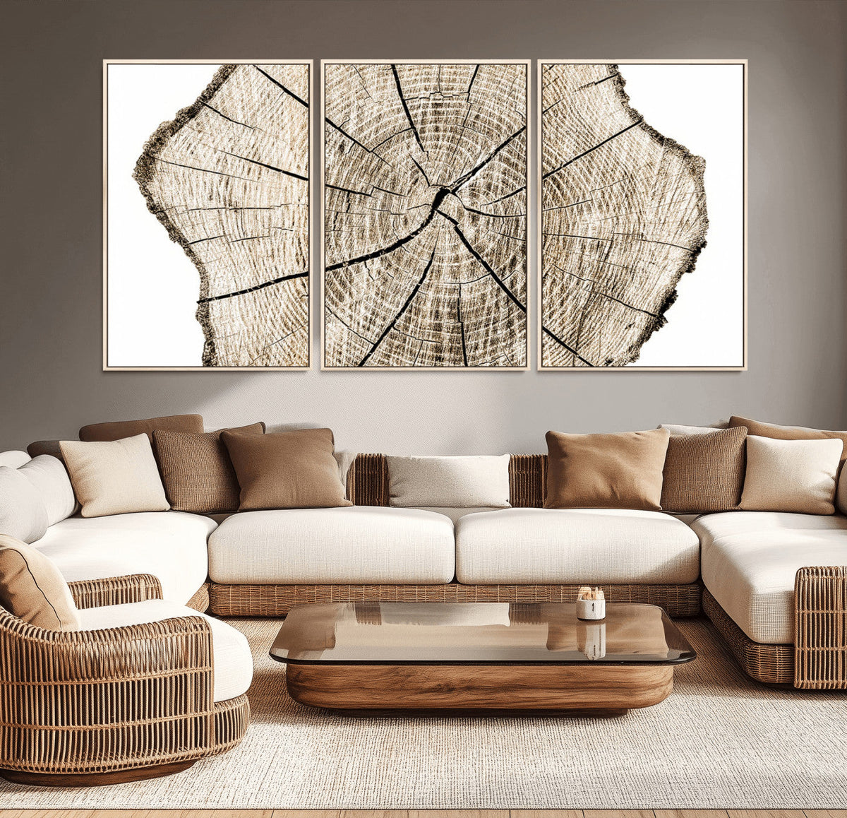 Abstract Wood Tree Ring Wall Art - Ready to Hang Minimalist