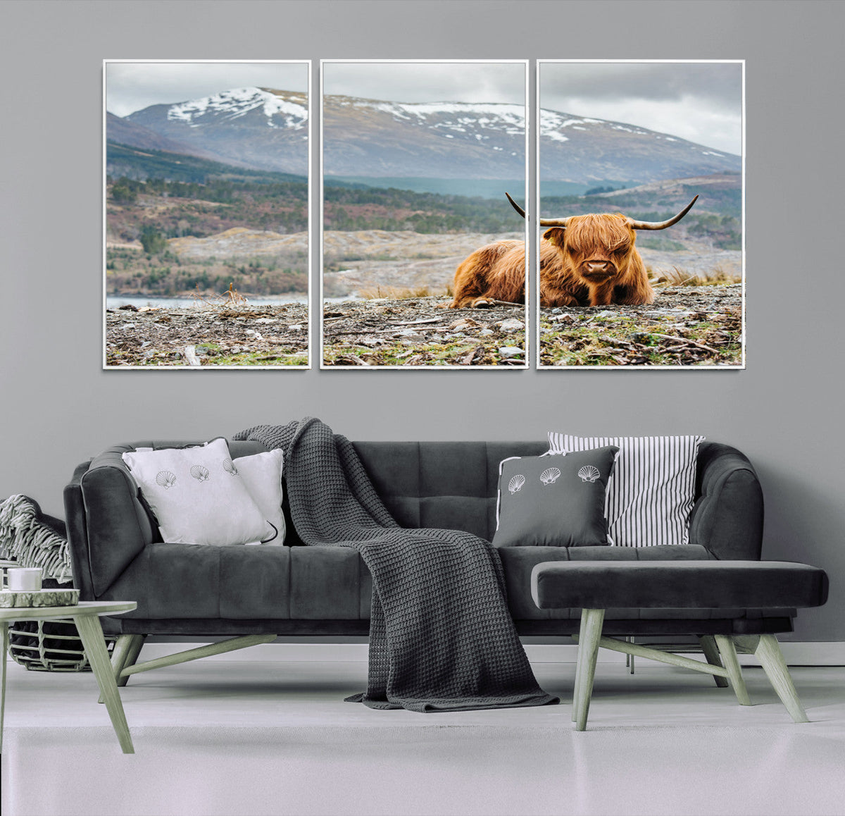 Highland Cow Horn Farm Wall Art Canvas Print