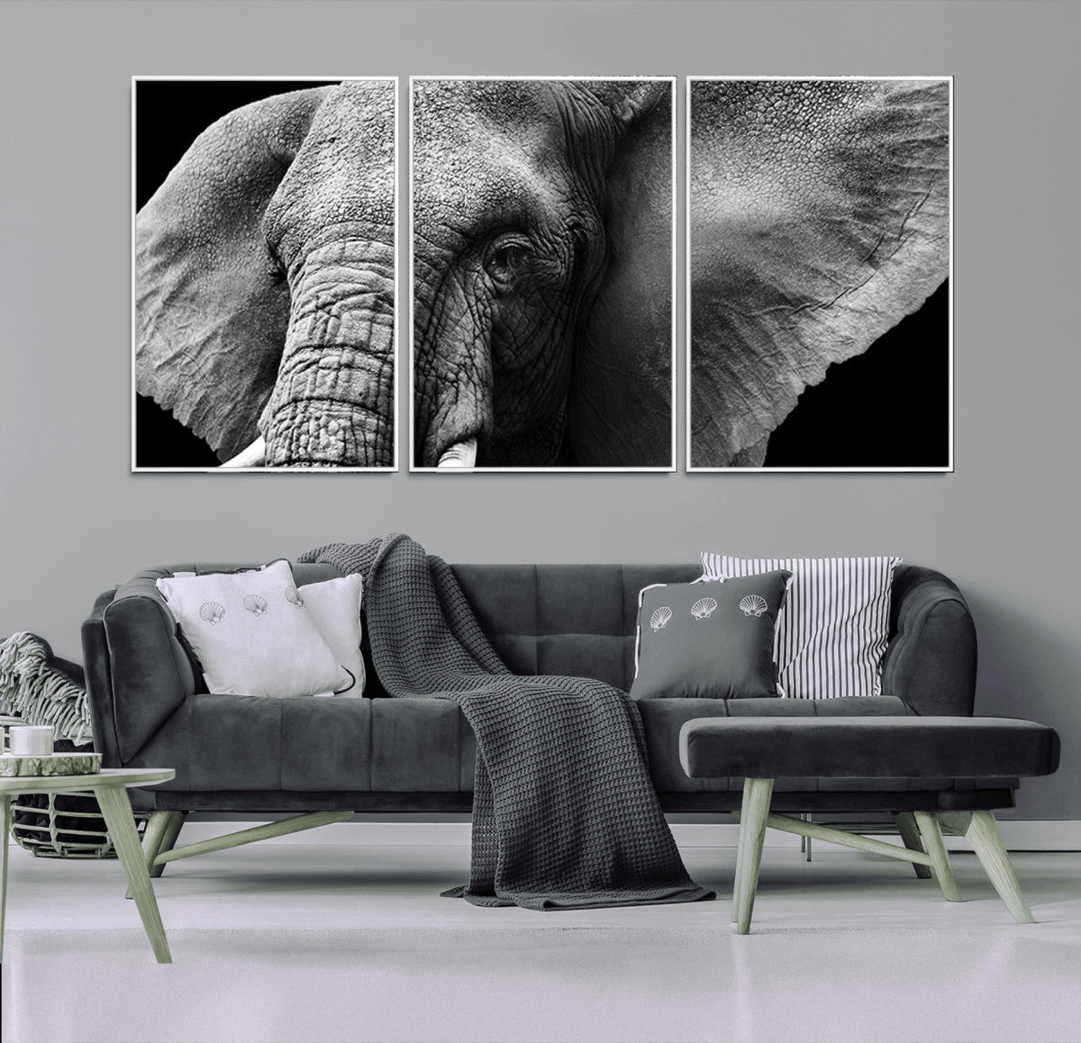 Big Elephant Close Up Wall Art Canvas Print