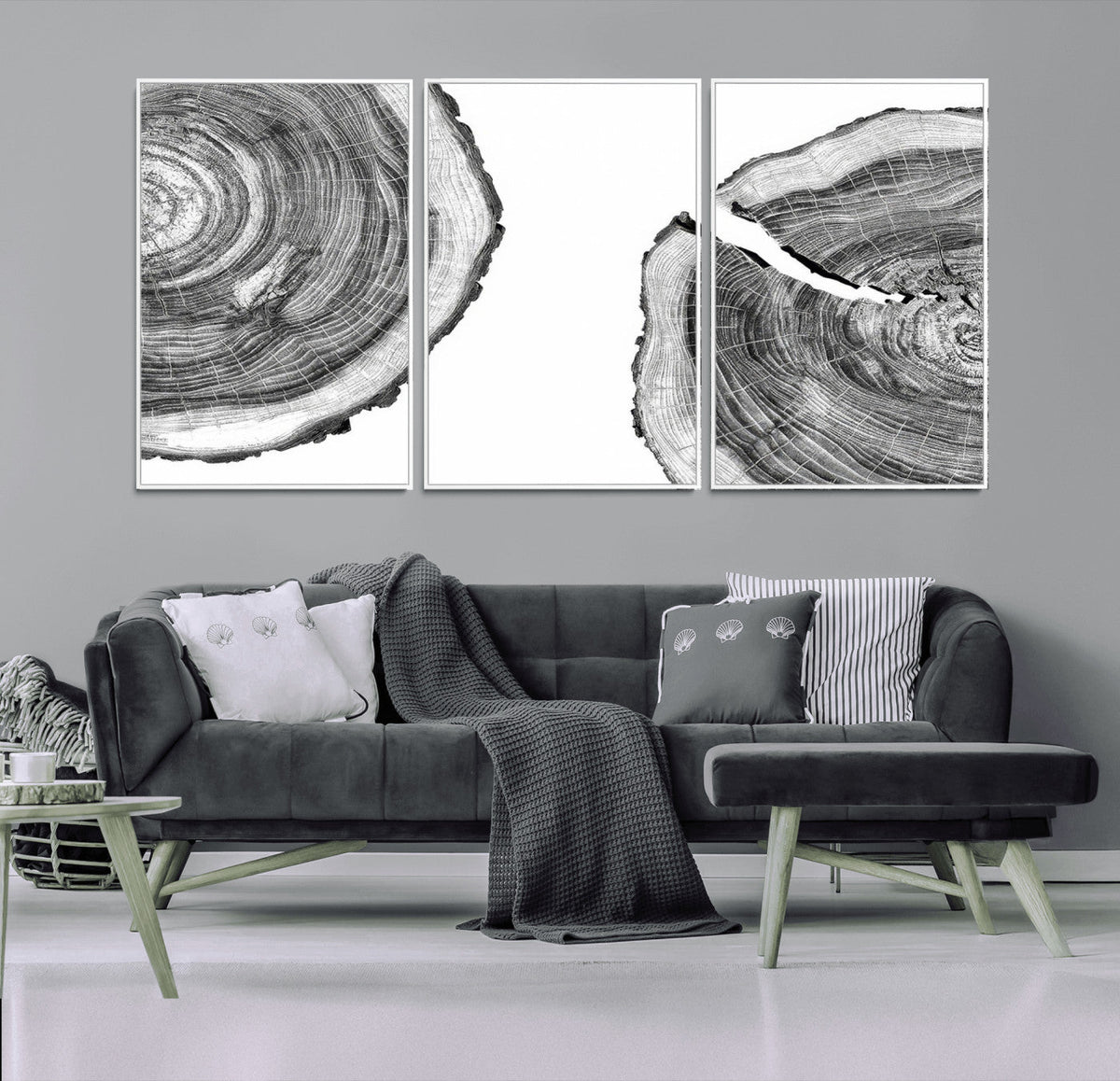 Abstract Large Tree Rings – Minimalist Black and White Wood