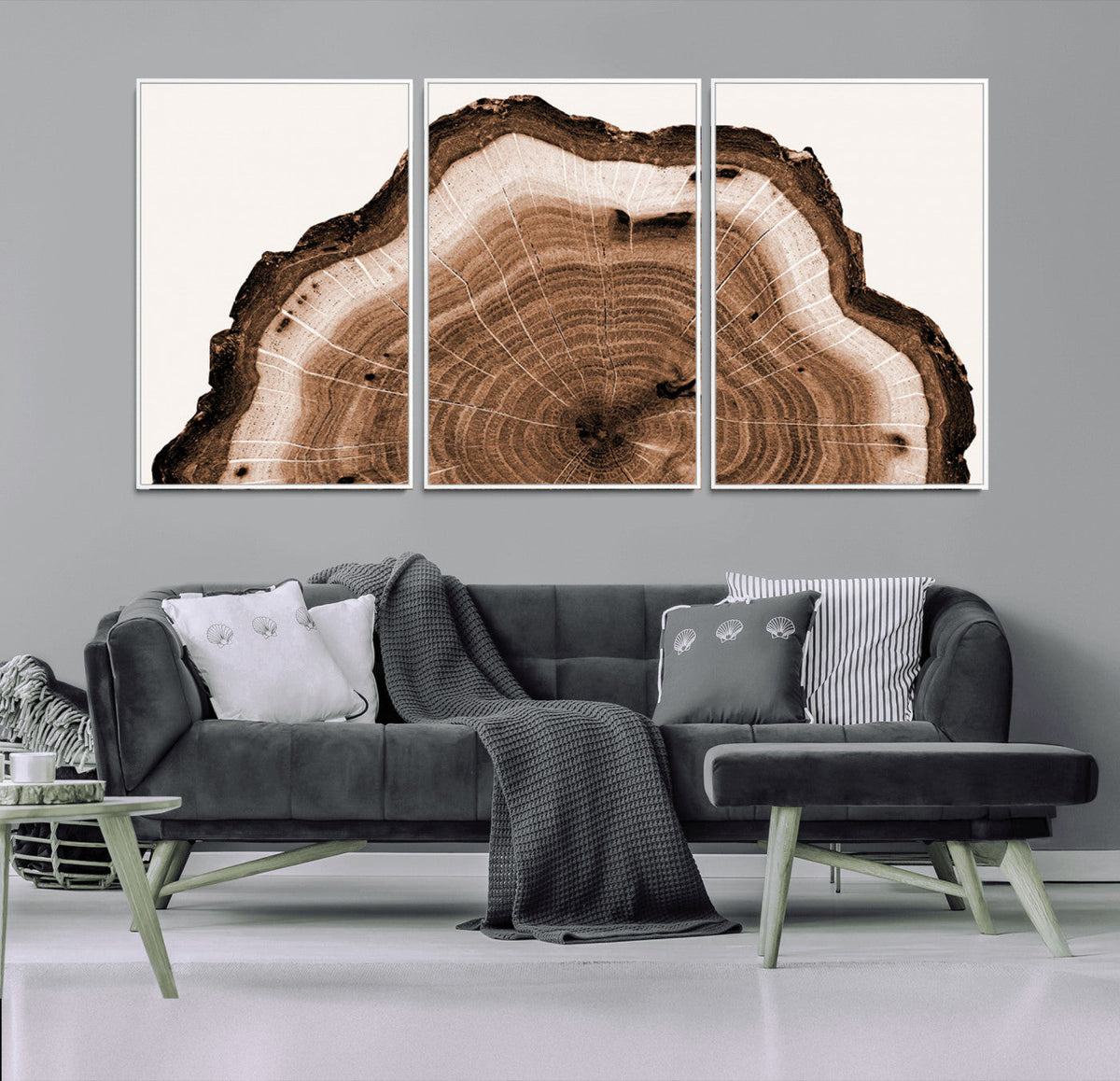 Rustic Wood Rings Wall Art | Nature-Inspired Tree Ring