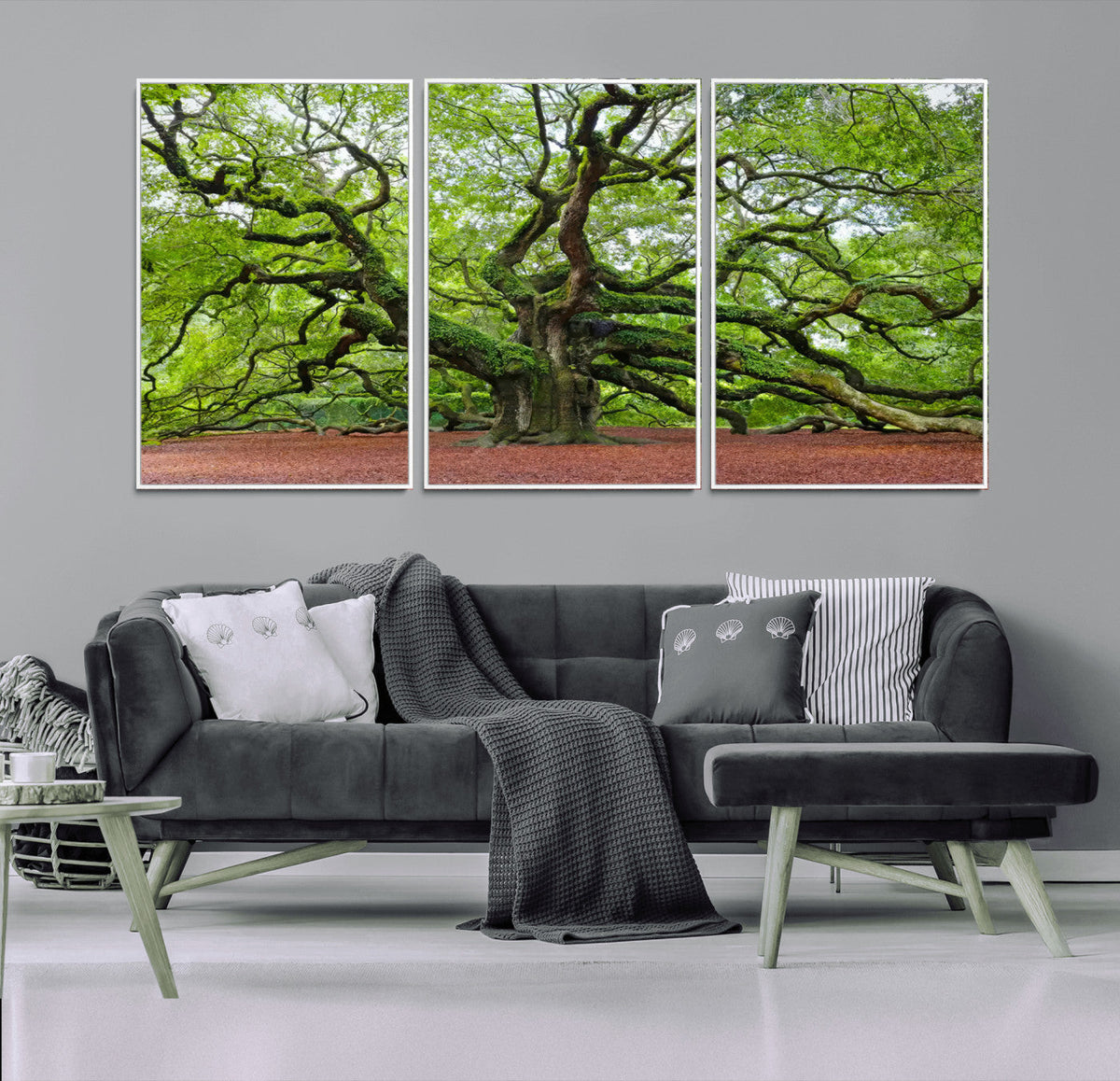 Framed Angel Oak Tree Wall Art - 3-Panel Canvas Prints,