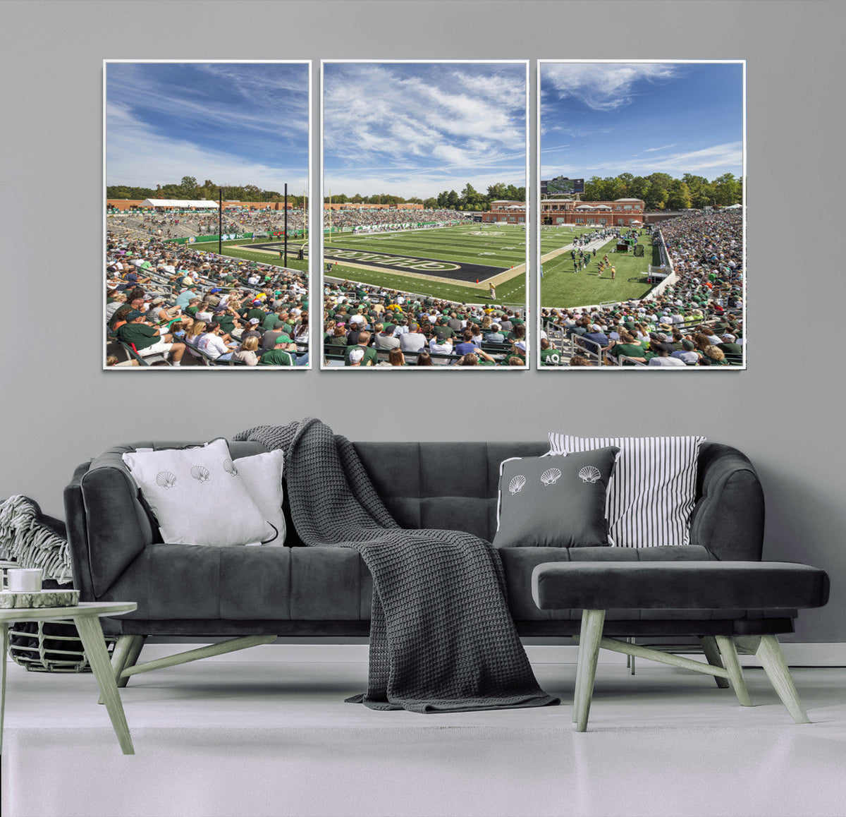 University of Charlotte 49ers Football Team Print -