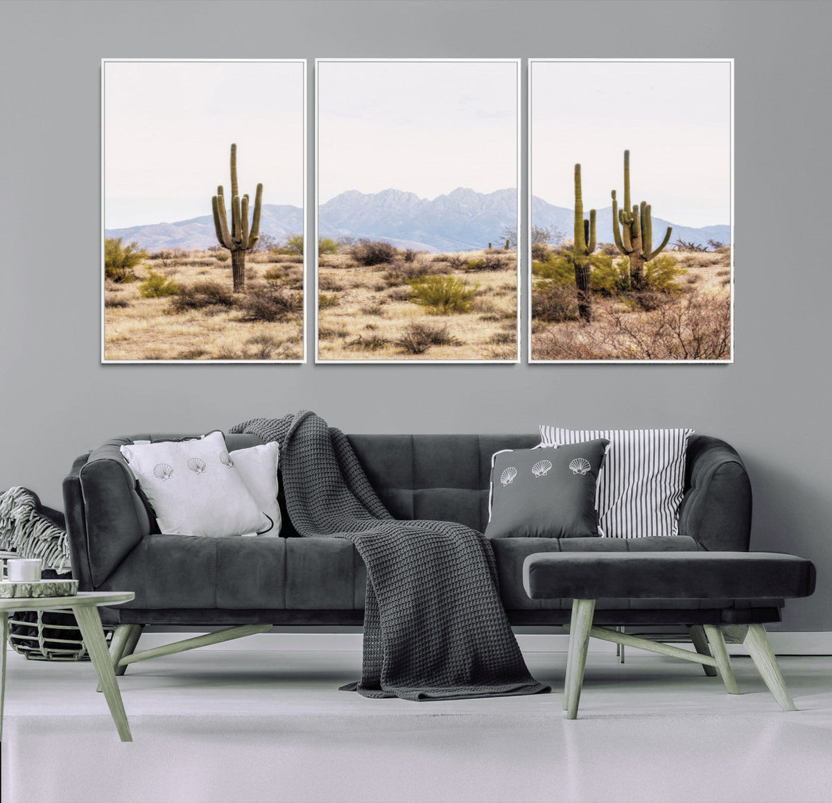 Arizona Desert Wall Art Print | Arizona Desert Canvas Print