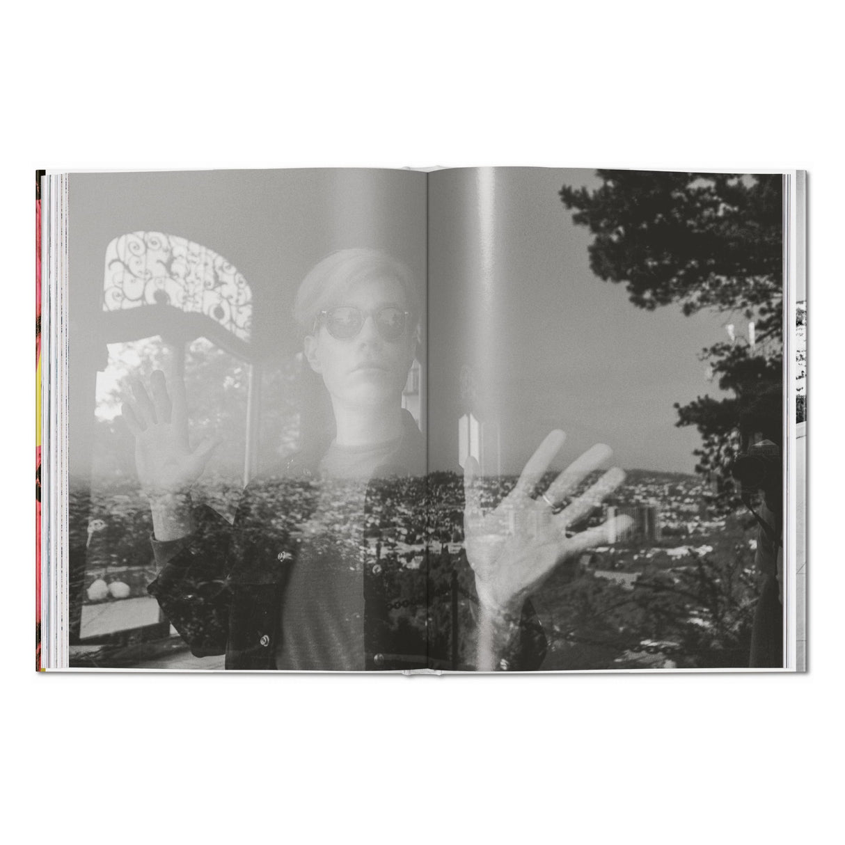Steve Schapiro. Andy Warhol and Friends (English)