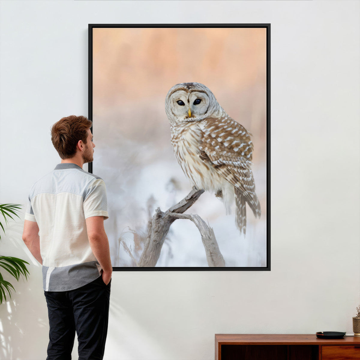 Barred Owl Wall Art Canvas Print – Soft Neutral Wildlife