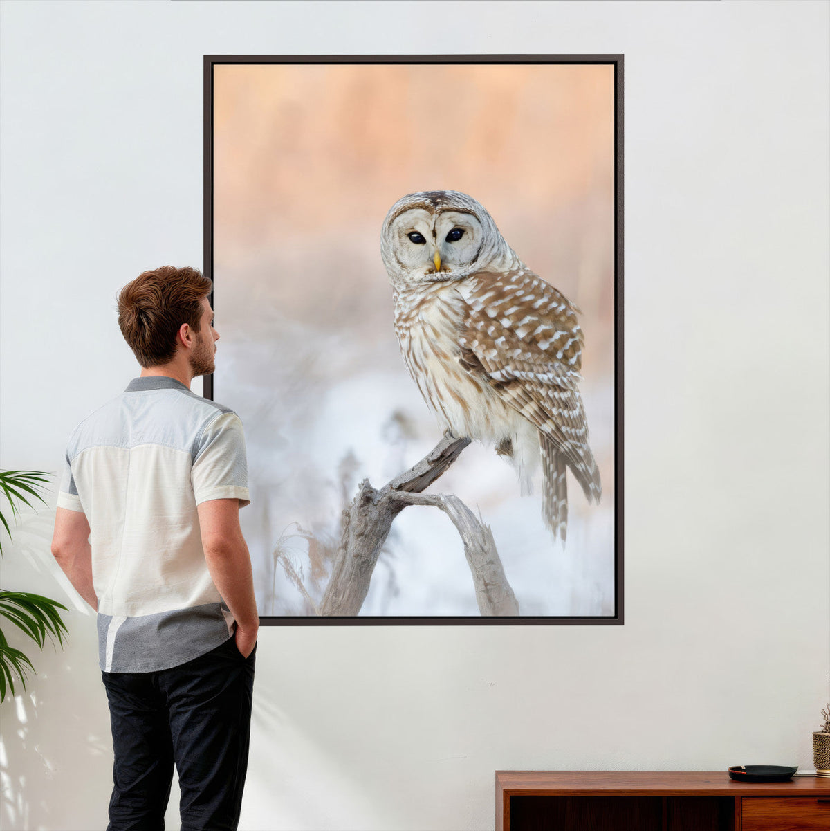 Barred Owl Wall Art Canvas Print – Soft Neutral Wildlife