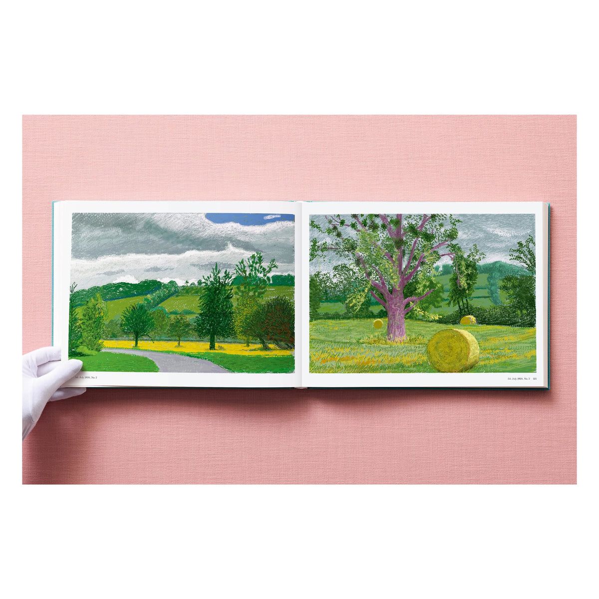 David Hockney. 220 for 2020 (English)