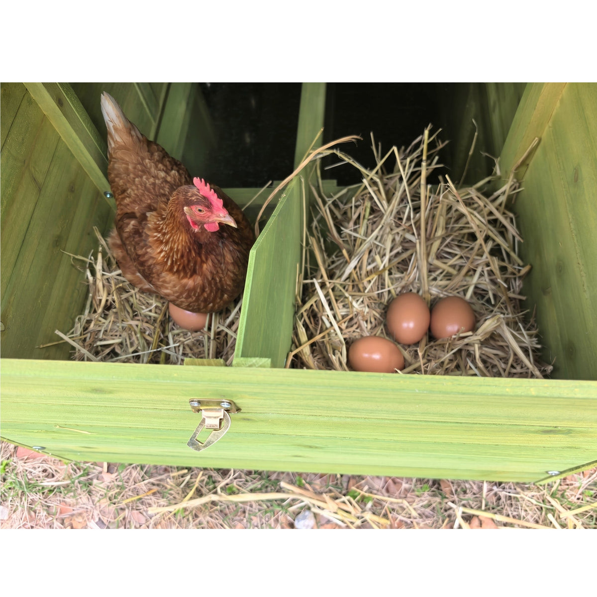 70" Large Wooden Chicken Coop with Nesting Boxes and Waterproof Roof - Green or Brick Red