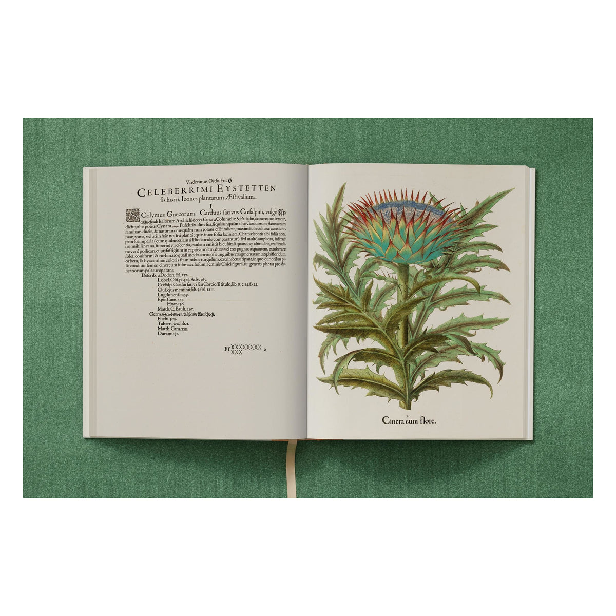 Basilius Besler. The Garden at Eichstätt (German, French, English) (FFE)