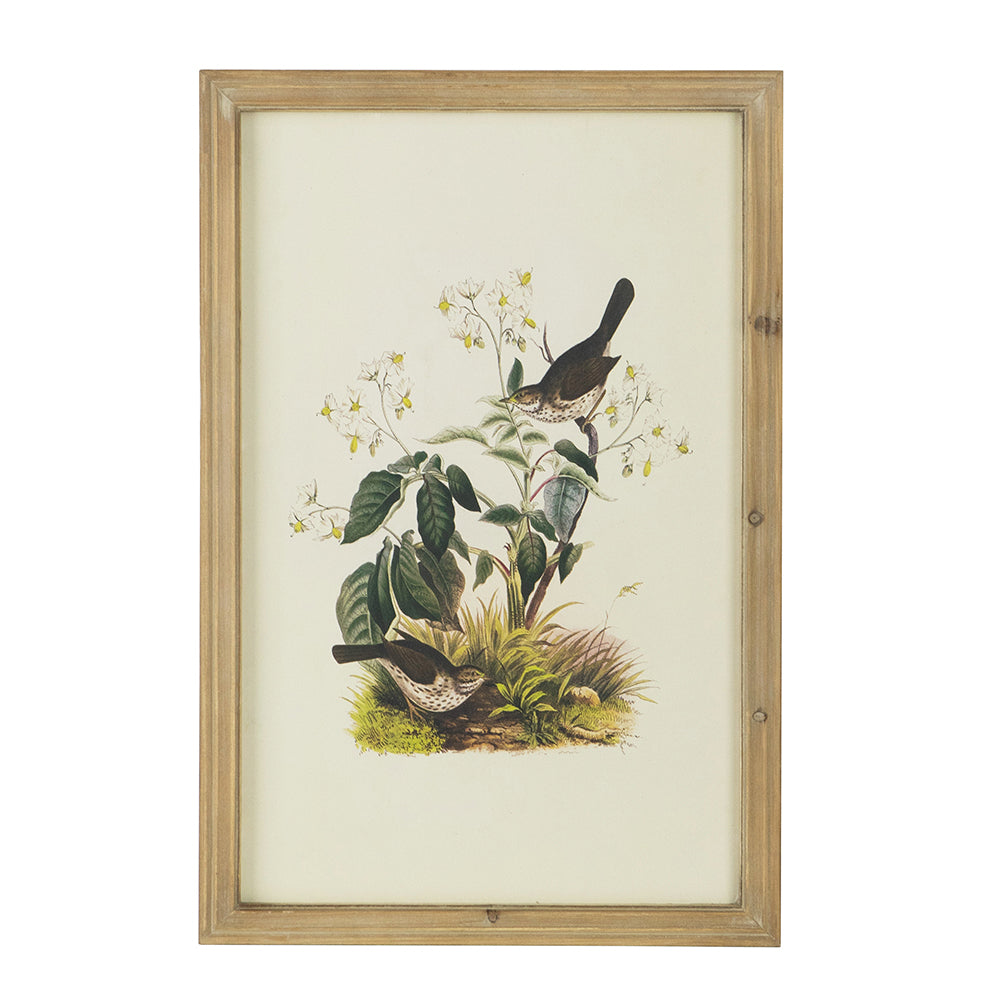 Set of 4 Bird Framed Prints
