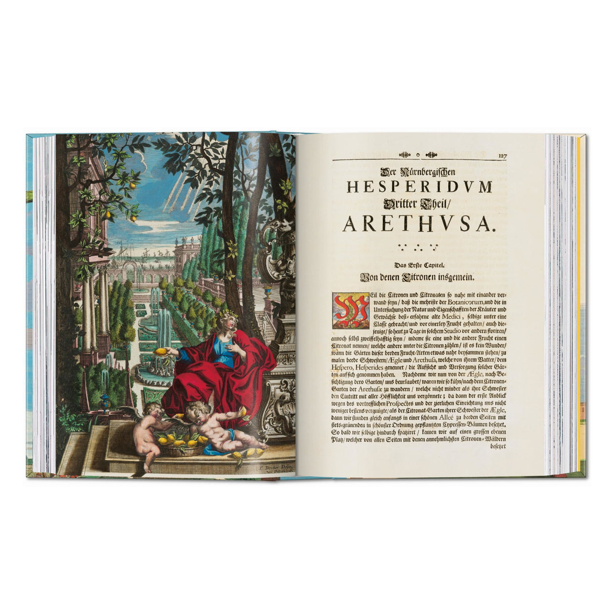 J. C. Volkamer. The Book of Citrus Fruits. 45th Ed. (German, French, English)