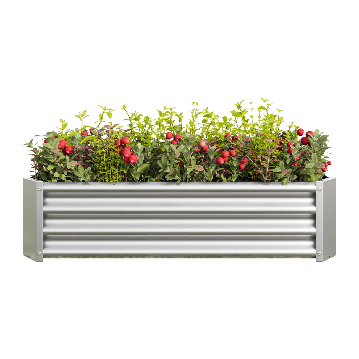 Metal Raised Garden Bed 4x2x1 ft