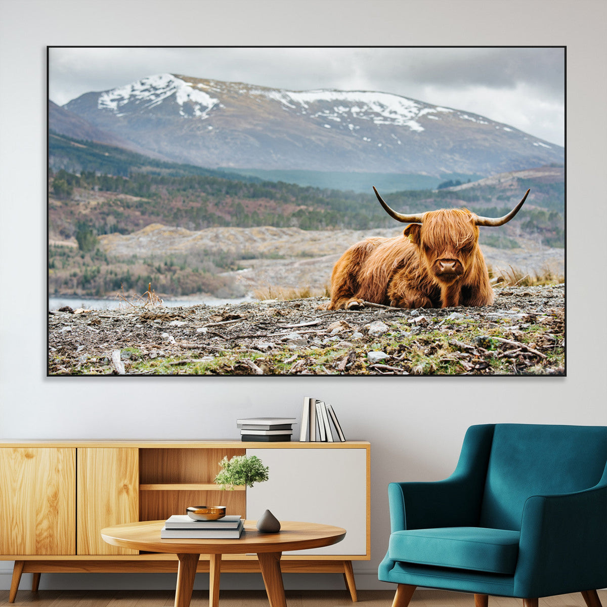 Highland Cow Horn Farm Wall Art Canvas Print
