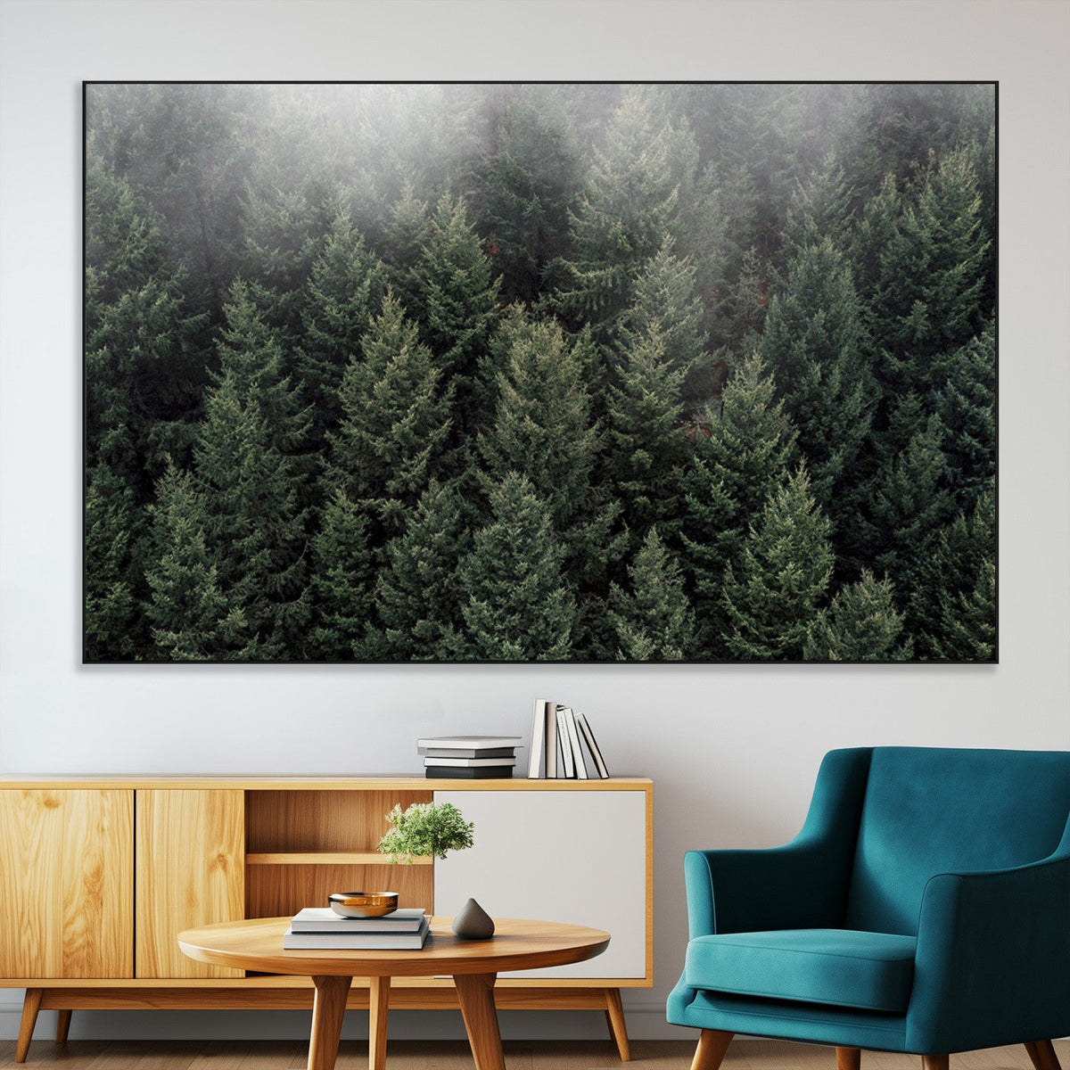 Dense Evergreen Forest Misty Morning Fog Pine Trees Woodland