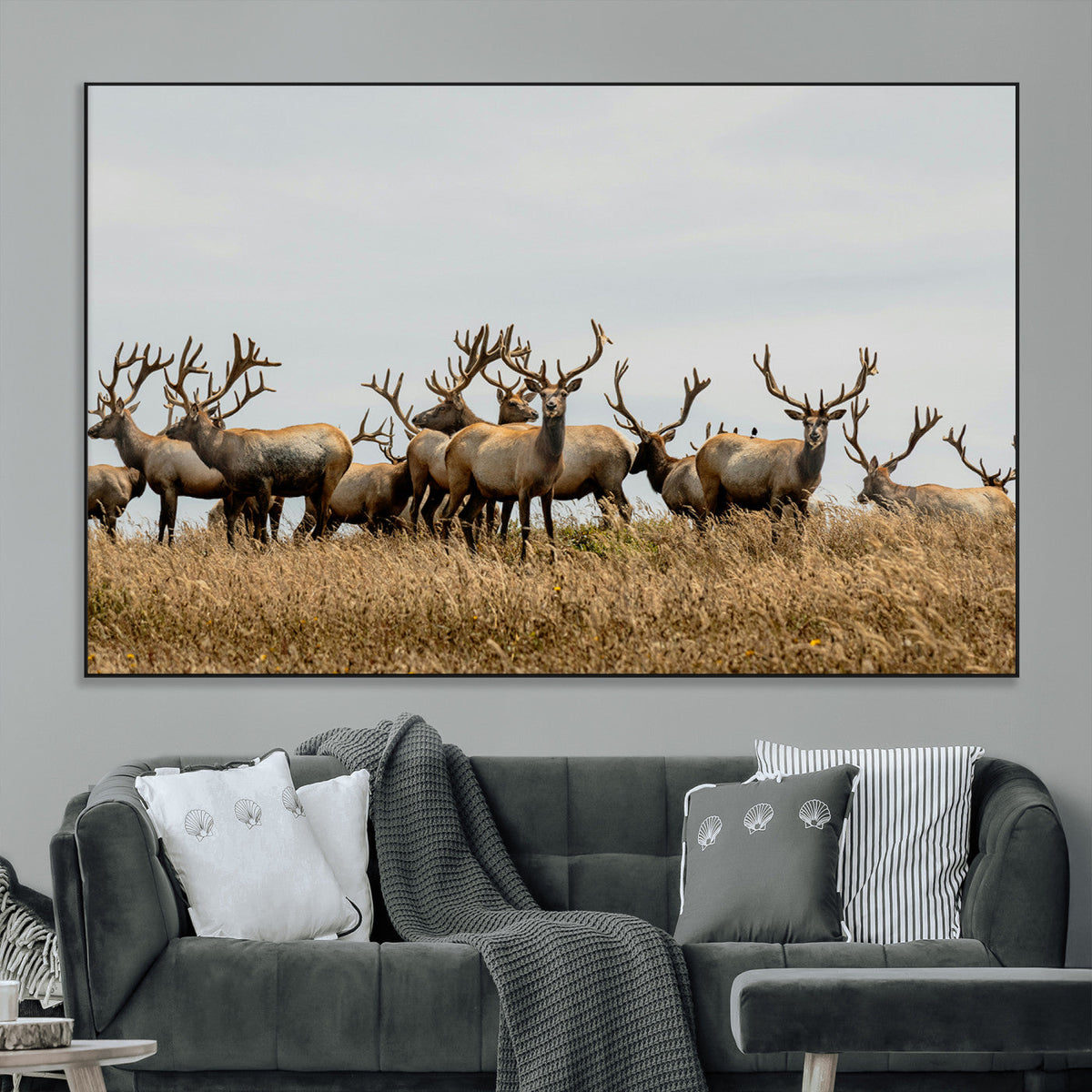 Elk Herd Wall Art Canvas Print – Framed Wildlife Photography