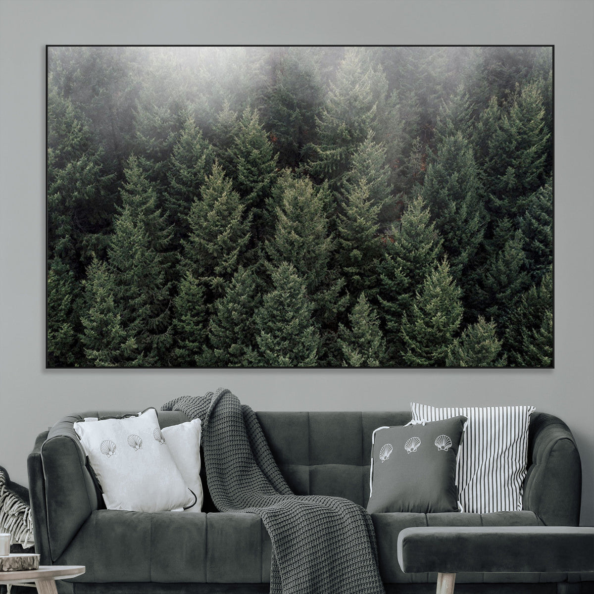 Dense Evergreen Forest Misty Morning Fog Pine Trees Woodland