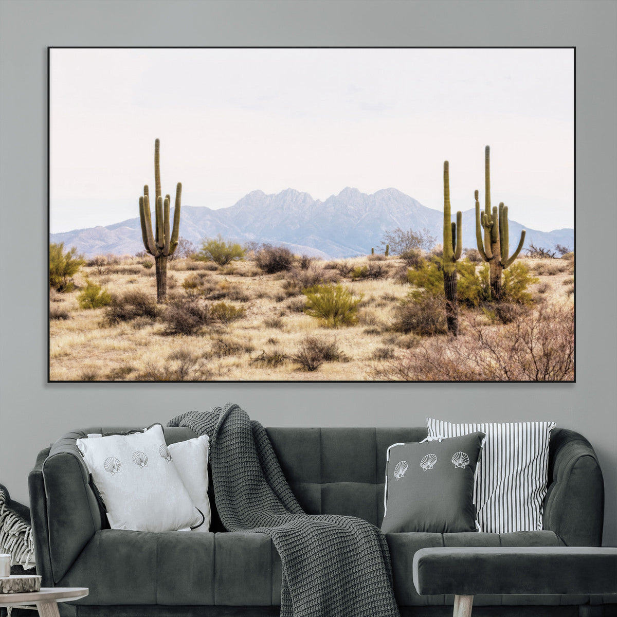 Arizona Desert Wall Art Print | Arizona Desert Canvas Print
