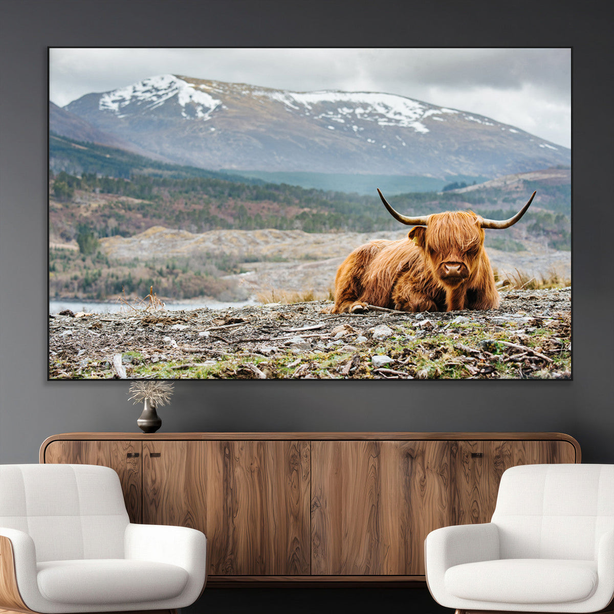 Highland Cow Horn Farm Wall Art Canvas Print