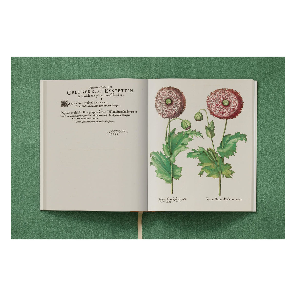 Basilius Besler. The Garden at Eichstätt (German, French, English) (FFE)