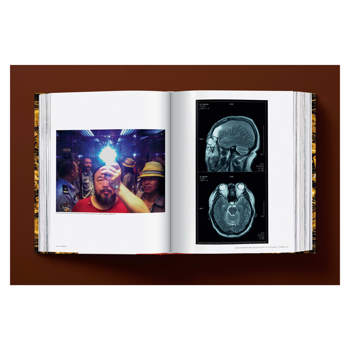 Ai Weiwei. Updated Edition (German, French, English)