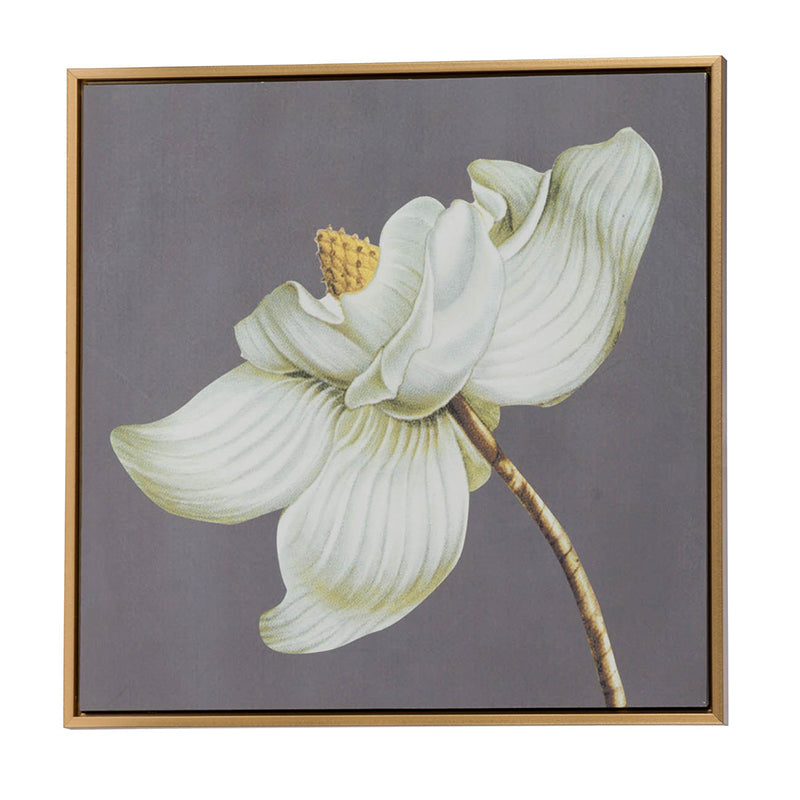 Set of 4 White and Gold Botanical Wall Art Prints, 20” x 20”