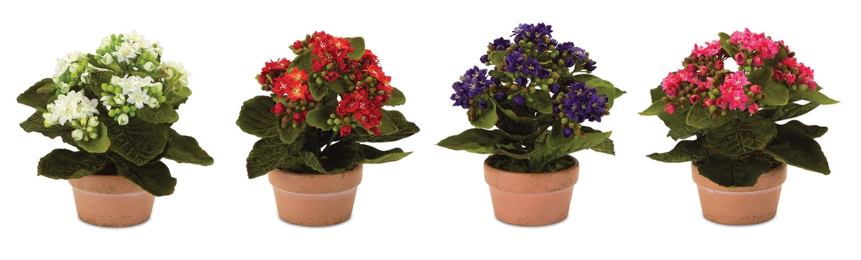Assorted-kalanchoe-flower-in-terra-cotta-(set-of-4)-Artificial-Flowering-Plants