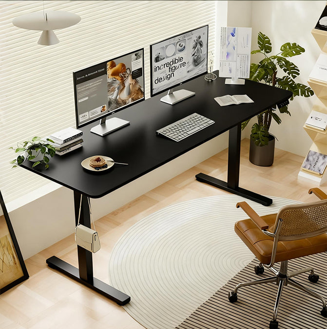 Polaris Electric Standing Desk - 55"×24"