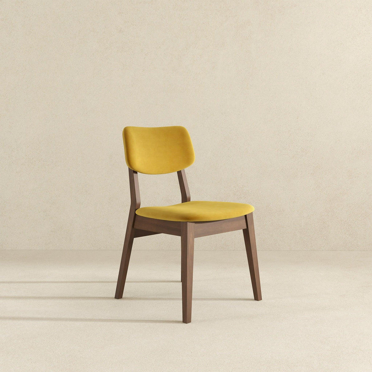 Carlos - Solid Back Side Chair (Set of 2)