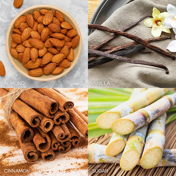 Vanilla Christmas Cookie Candle by Old World Christmas