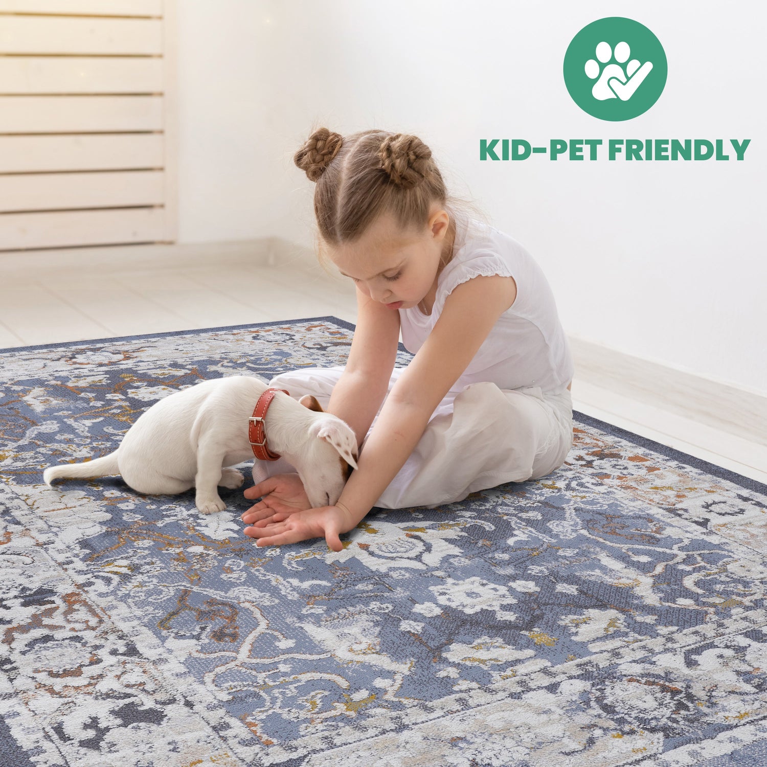 NAAR PAYAS Traditional Non-Shedding and Stain Resistant Area Rug