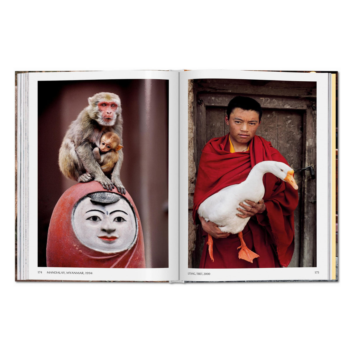 Steve McCurry. Animals (English)