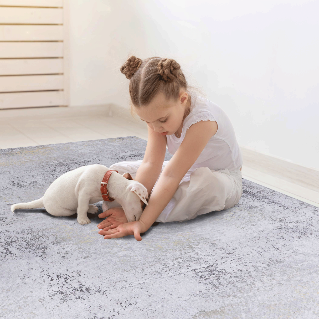 Naar Washable Area Rugs, Low-Pile, Non-Slip, Non-Shedding, Foldable, Kid & Pet Friendly