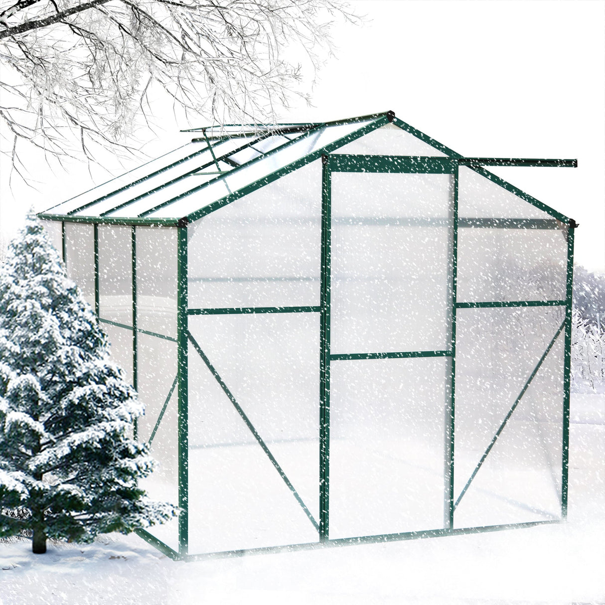 Polycarbonate Greenhouse - 6'x8' Heavy Duty Walk-in Plant Garden Greenhouse