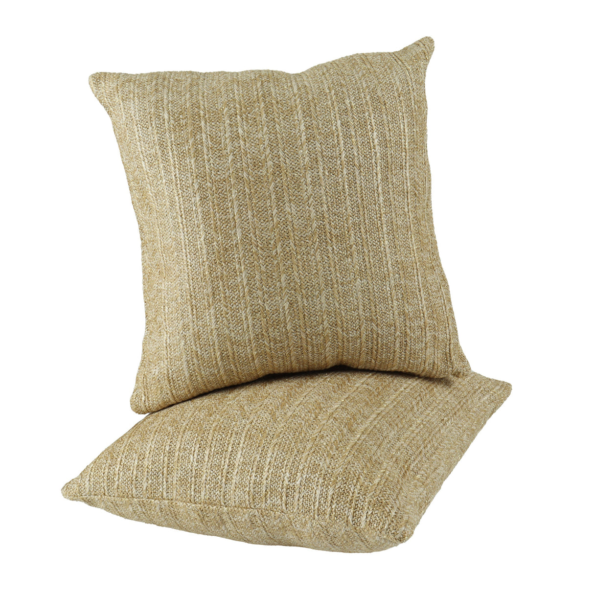 Outdoor/Indoor Decorative Throw Pillows with Inserts (Set of 2)