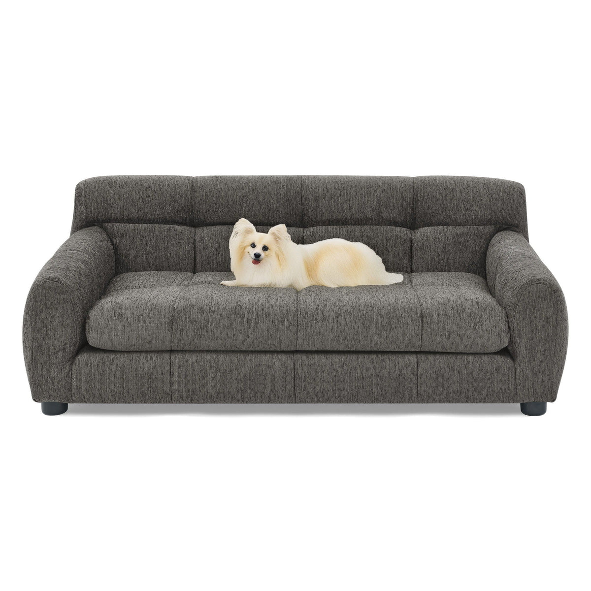 Modern Pet Sofa With Backrest And Armrests