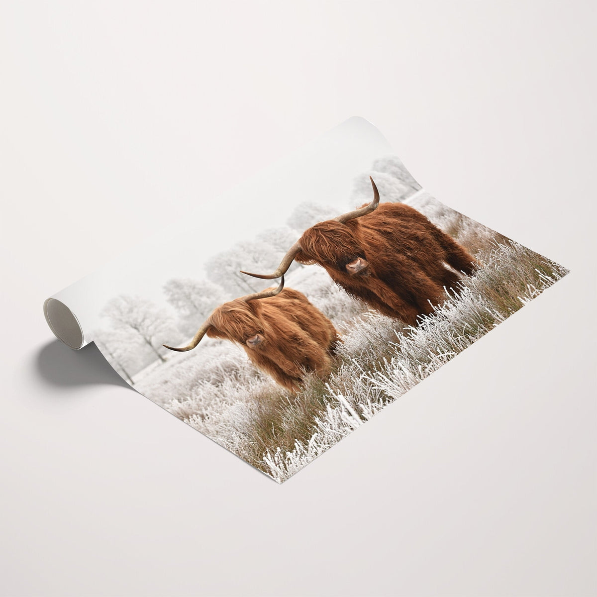 Longhorn Cattle Wall Art Canvas Print, Framed Farmhouse