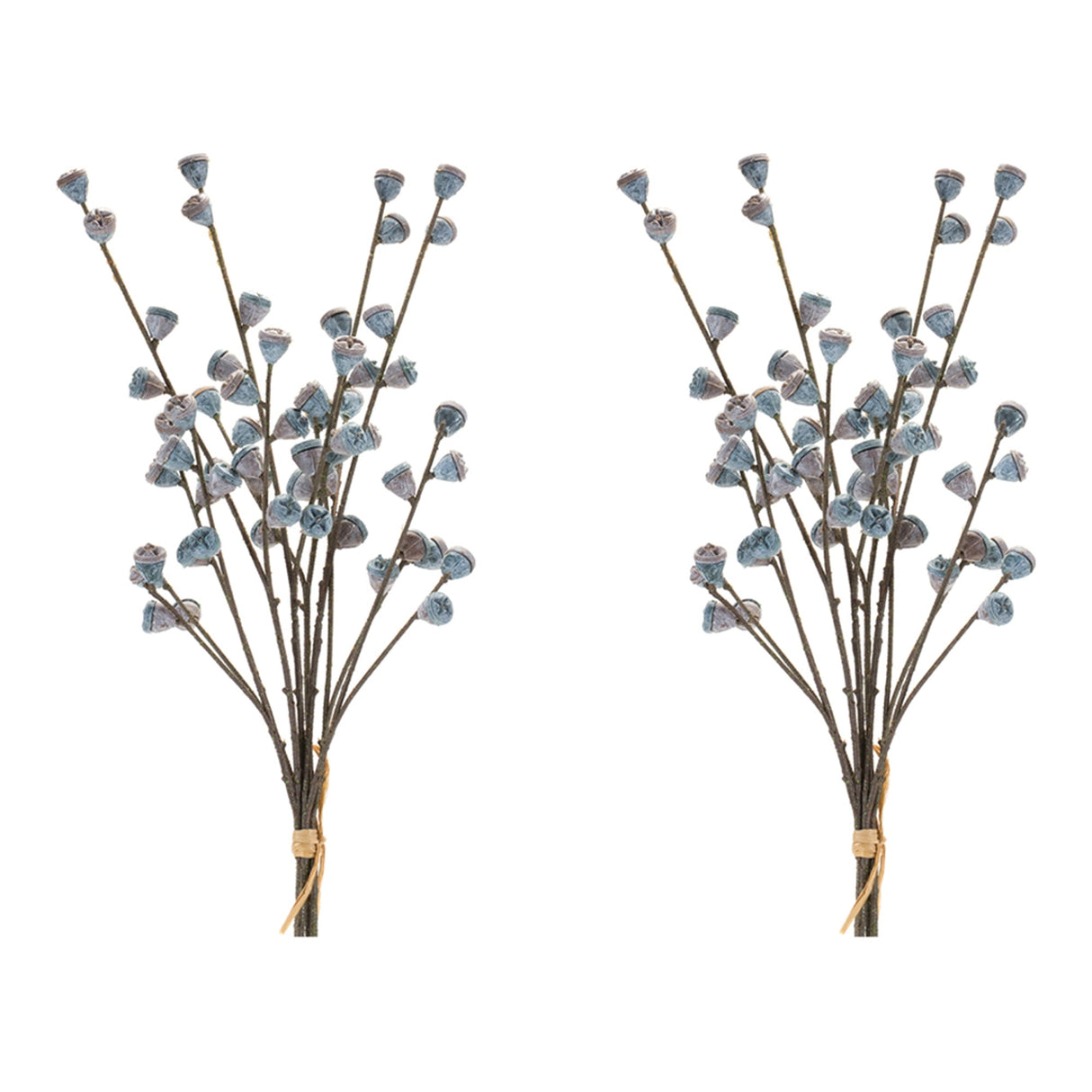 Winter Berry Pod Bundle (Set of 2)
