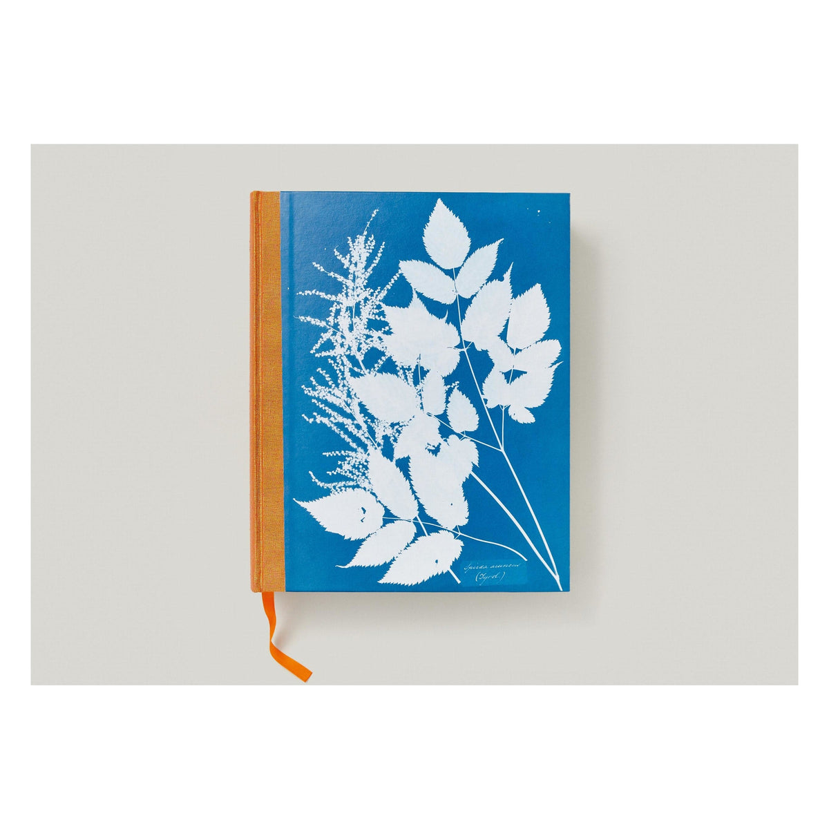 Anna Atkins. Cyanotypes (German, French, English) (FFE)