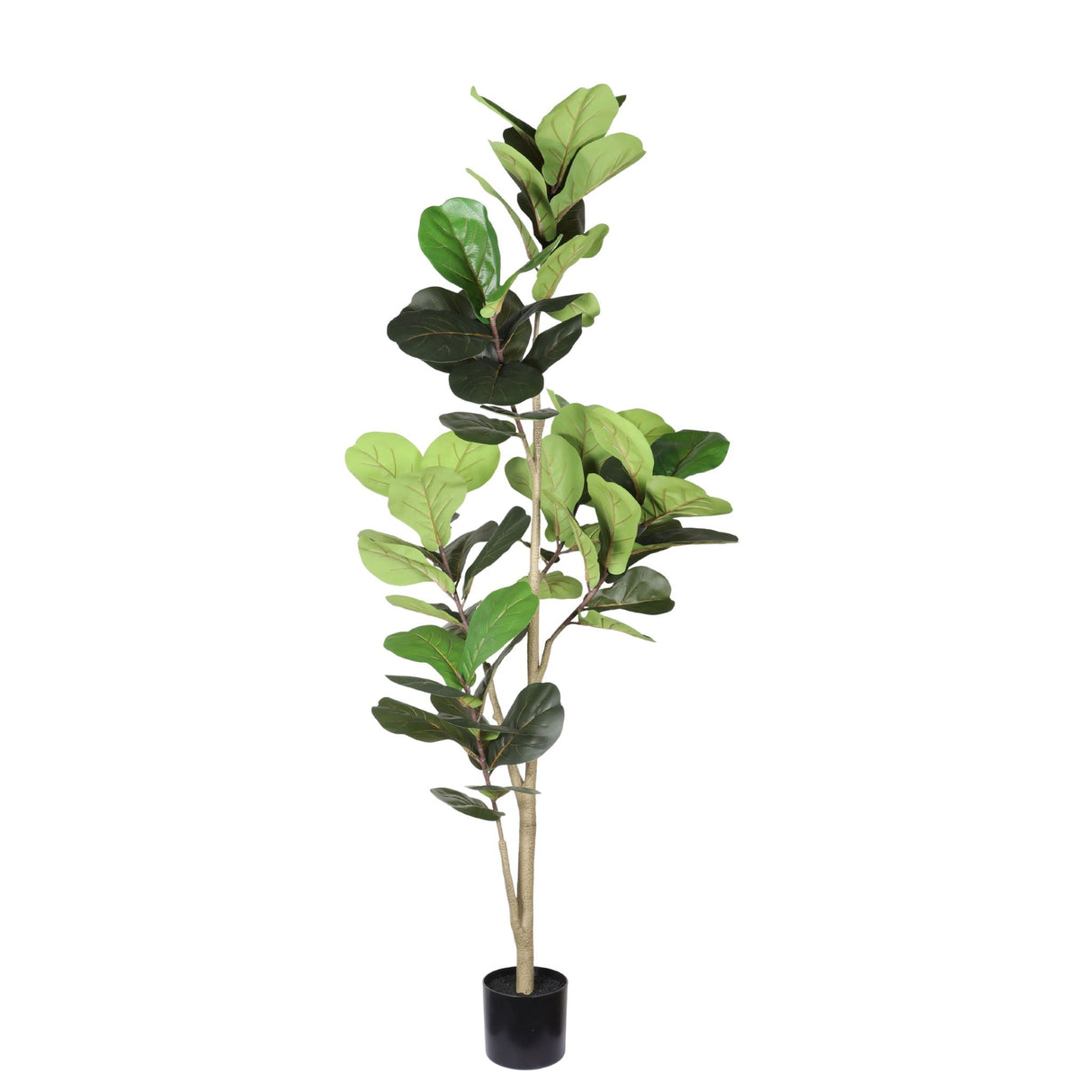 6Ft Real Touch Fake Fiddle Leaf Fig Tree In Pot